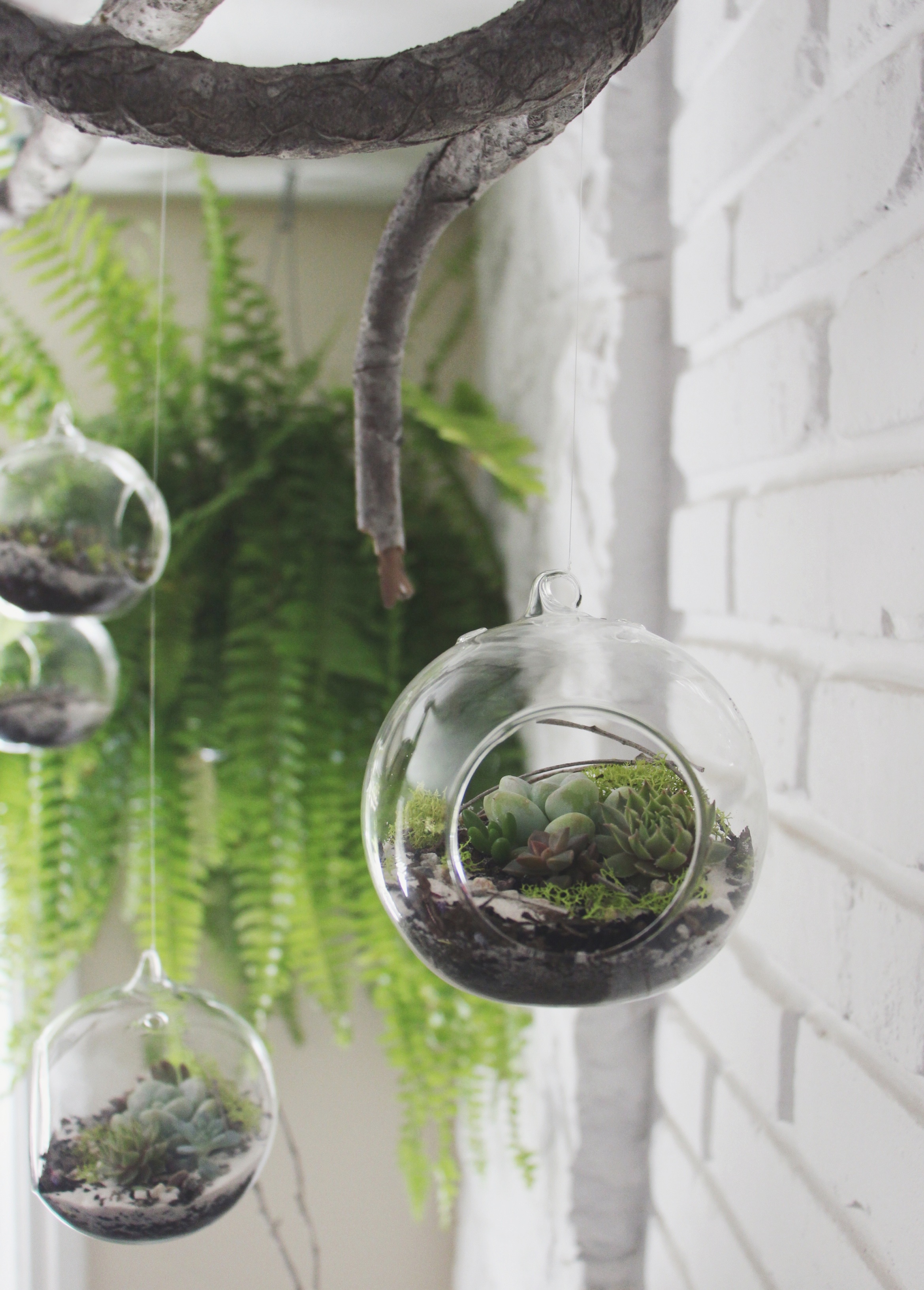 DIY Hanging Succulent Terrarium for Petunia Handbags Blog via Needles + Leaves